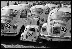 Arthur Steel: Baby Love Bug, Limited Edition Photograph 54 X 37.5”