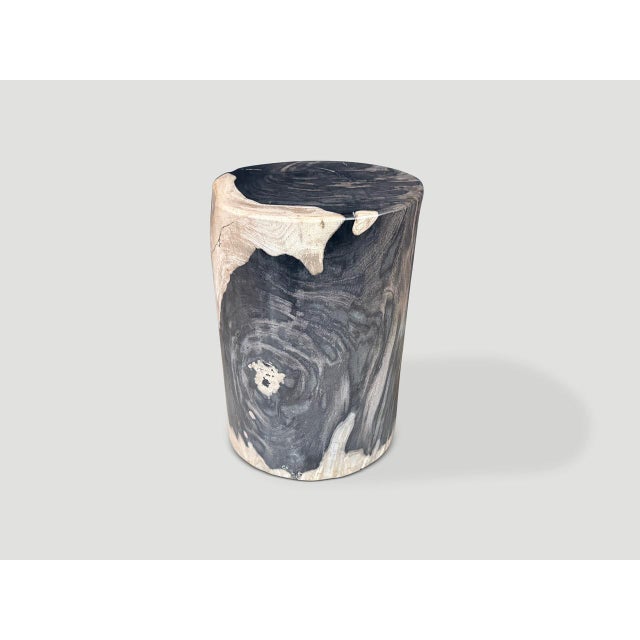 Contemporary Andrianna Shamaris Modern Organic Super Smooth Petrified Wood Side Table For Sale - Image 3 of 5