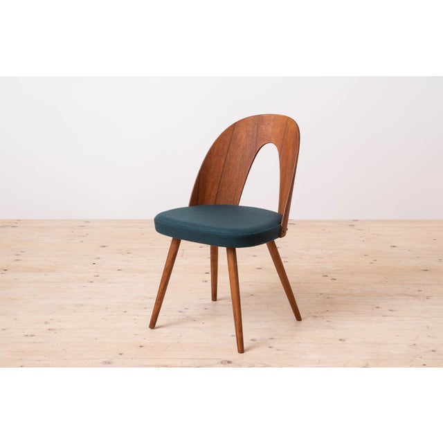 Mid-Century Modern Dining Chairs by A. Šuman, 1960s, Set of 14 For Sale - Image 6 of 18