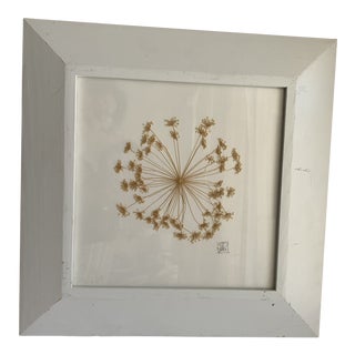 Sweet Natural Pressed Floral Framed Wall Art For Sale