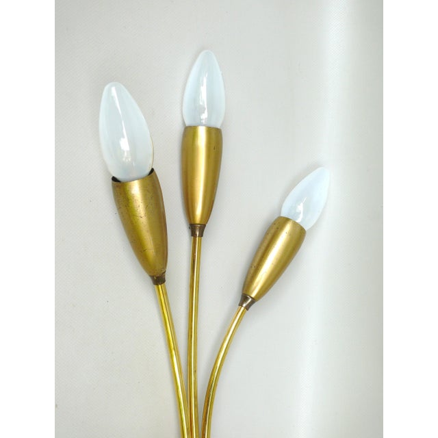 Metal Vintage Wall Lights in Brass, 1950s, Set of 2 For Sale - Image 7 of 18