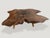Contemporary Andrianna Shamaris Amorphous Rosewood Coffee Table For Sale - Image 3 of 18