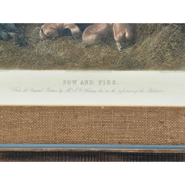 Antique 1855 Hand-Colored Engraving "Sow and Pigs" After j.f. Herring Sr. — Framed Rustic Farm Scene For Sale - Image 4 of 11