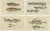 Remora and Dragonet and Star Gazer, 1832, Paper, Set of 4 For Sale