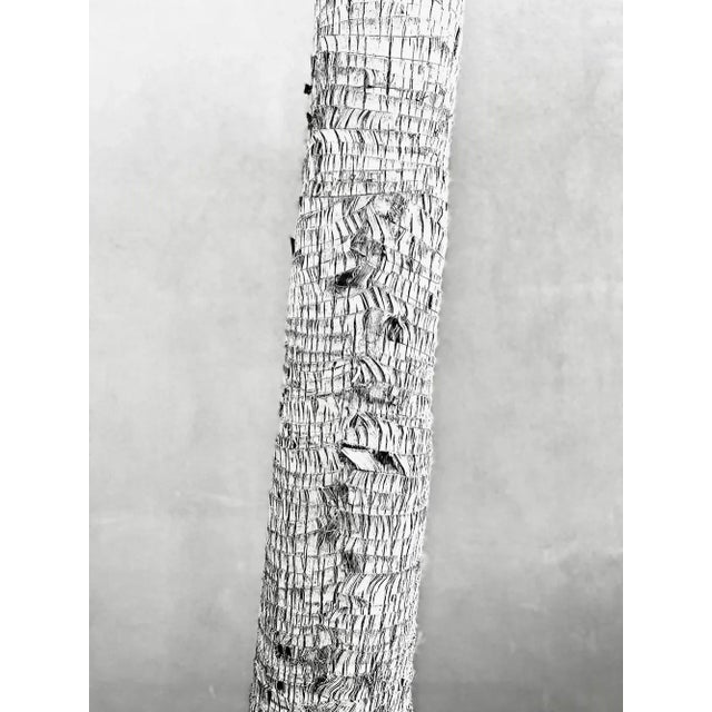 Palm Bark by Stuart Möller Archival Pigment Print signed and numbered by the artist. Born in Kabul, part German and Anglo-...