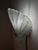 Glass Shell Wall Lamp from Sölken Leuchten For Sale - Image 5 of 11