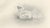Lilian M. Medland, Adult Sparrowhawk and Chicks, 1908, Monochrome Ornithological Plates, Set of 2 For Sale - Image 6 of 10
