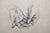 A tender, intimately rendered original watercolor study of two clasped hands, painted in a soft monochrome grisaille...