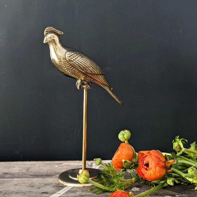 Solid brass vintage bird home decor. This sweet brass parrot rests on it's own brass stand. It is in excellent vintage...