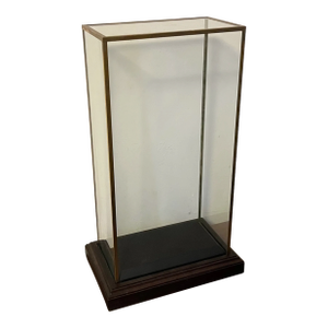 Brass and Glass Tall Rectangular Box Museum Display Case Dome With Mahogany Base