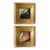 "Water and Fire" Pair of Framed Mini Paintings by Jessalin Beutler For Sale