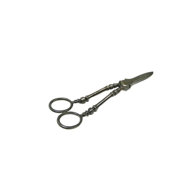 Art Nouveau Danish Scissors for Grapes, 1920s For Sale - Image 15 of 15