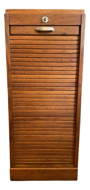 Vintage Roller Shutter Cabinet Filling or Music Cabinet, France, 1960s