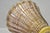 Mid 20th Century Mid 20th Century Ercole Barovier Zebrato Murano Art Glass Vase Zebrati for Ferro Toso Barovier For Sale - Image 5 of 14