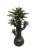 Bring a touch of exotic, lush charm to any space with this stunning, contemporary made Moroccan ceramic palm tree....