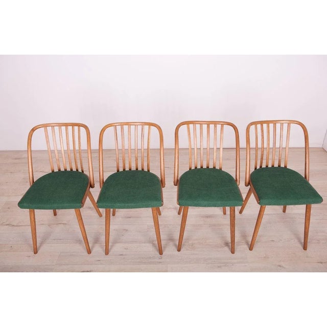 Green Dining Chairs by Antonín Šuman for TON, 1960s, Set of 4 For Sale - Image 4 of 16