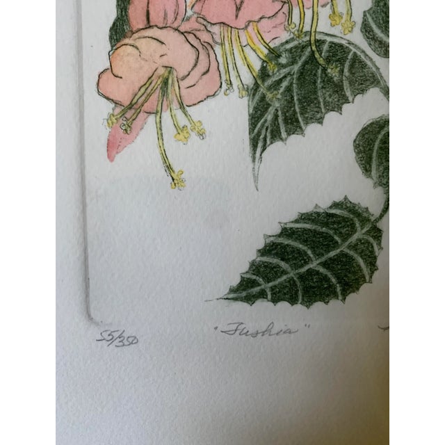 1988 “Tushia” Botanical Etching by Shirley Hiner, Framed For Sale - Image 9 of 10