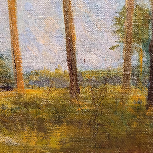 French School Artist, Pine Forest, 20th Century, Oil on Canvas, Framed For Sale - Image 14 of 18