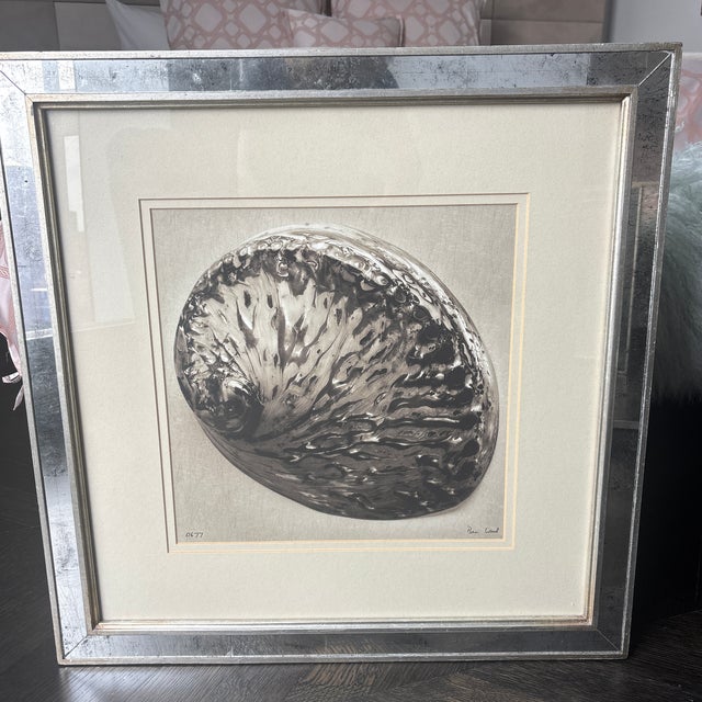 Paint Trowbridge Gallery Ben Wood Signed Limited Edition Shell Giclée Print - Framed – Coa Included For Sale - Image 7 of 10