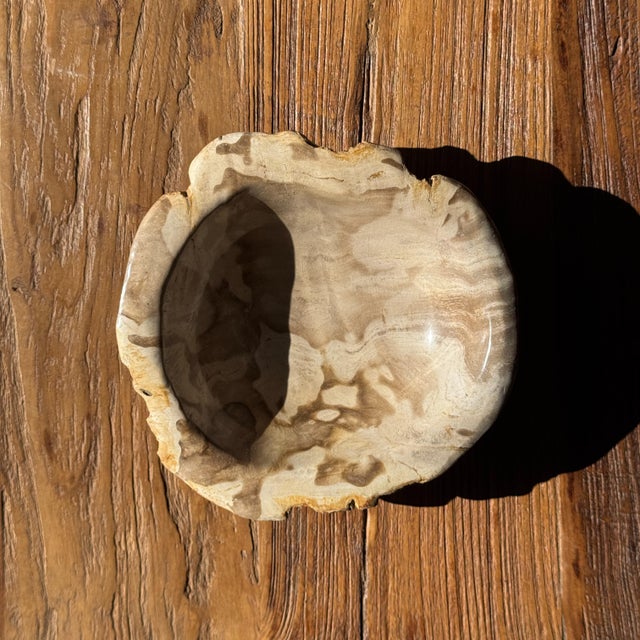 Wood Round Beige Petrified Wood Bowl, 1980s For Sale - Image 7 of 7