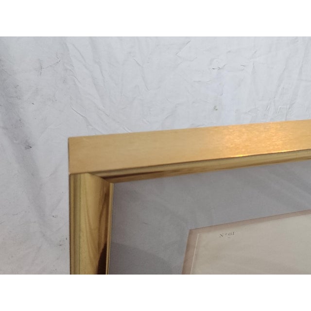 4' X 3' Framed Audubon "Canvas-Backed Duck" - Plate 301 in Gilt Frame - Birds of America For Sale In Baton Rouge - Image 6 of 9