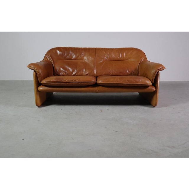 Animal Skin DS-16 Leather Sofa from de Sede, Switzerland, 1970s For Sale - Image 7 of 18
