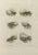 Eyes is an etching realized by Jean Francois Poletnich in 1755. Signed in the plate. Good conditions with foxing. The...