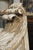 Pair of Large North Italian Wall Bracket Consoles, Circa 1800 For Sale - Image 10 of 18