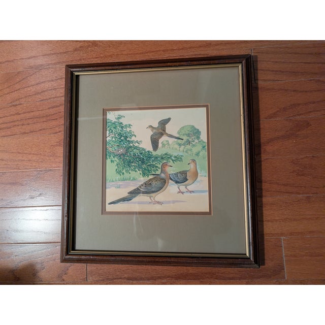 3 Watercolor Paintings - Louis A. Fuertes (School of) - label verso - ca. 1940. They are of the same size: 1st painting -...