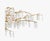 A striking 8-light chandelier from Currey & Company’s Aviva Stanoff Collection, this sculptural fixture features an airy,...