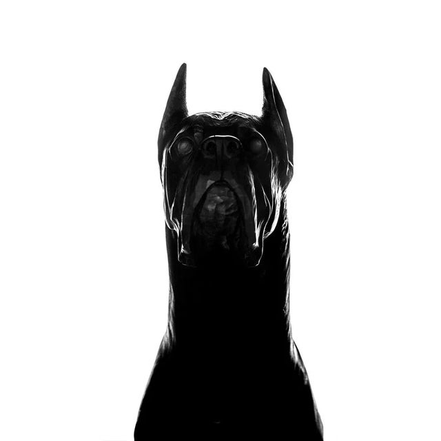 Carlotta Ginevra Volpini, The Batman, 2022, Photographic Print For Sale - Image 3 of 3