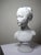 White Bust of Louise Brongniard After Houdon in White Biscuit Porcelain, 1930s For Sale - Image 8 of 13