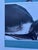 Sorge Peter, 74/100, 1969, Color Serigraph For Sale - Image 12 of 13