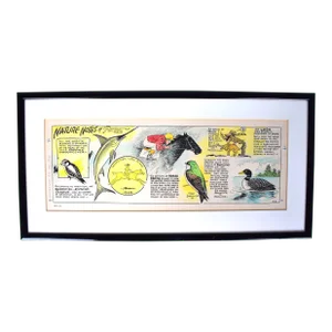 1982 Nature Notes Original Painting by Parrish Chicago Tribune, Framed