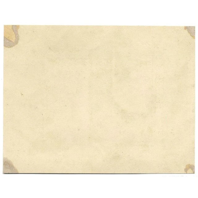 James Holland OWS, Morning Glory & Marguerite Daisy Flower, 1825, Watercolour For Sale - Image 3 of 4