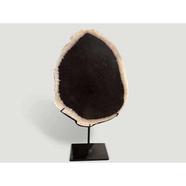 2010s Andrianna Shamaris Minimalist Petrified Wood on Stand For Sale - Image 5 of 5