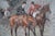 White Deep-Lomacy Fox Hunt Scene Watercolour by George Finch Mason For Sale - Image 8 of 8