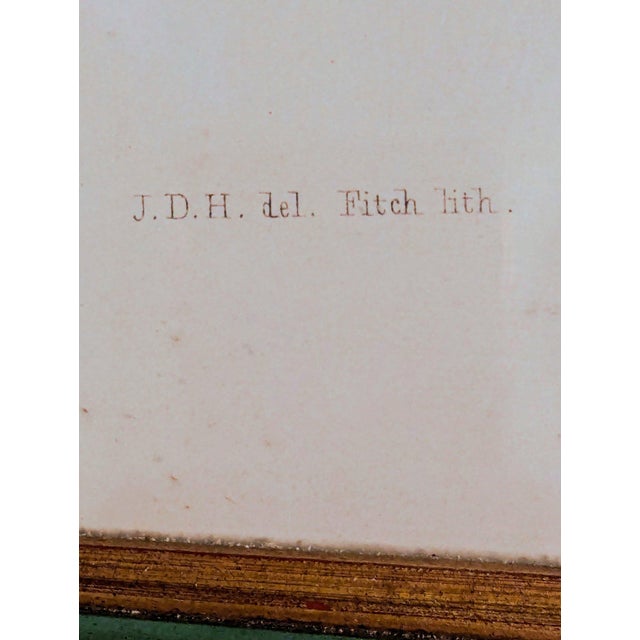 Antique 1849 Sir j.d. Hooker "Rhododendron Thomsoni" Hand-Colored Folio Lithograph For Sale In New York - Image 6 of 8