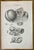 Diseases of the Ovary is a lithograph hand colored by Ottavio Muzzi for the edition of Antoine Chazal, Human Anatomy,...
