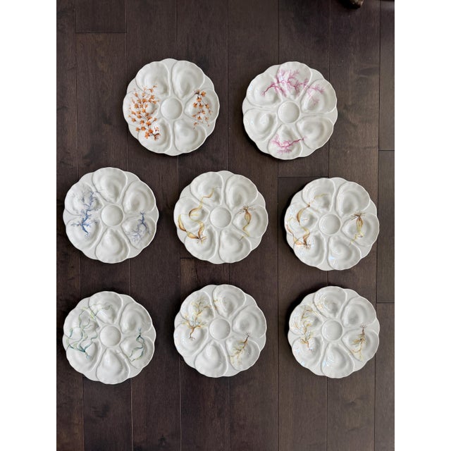 Late 19th Century French Le Chambrelain Porcelain Hand-Painted Seaweed Oyster Plates - Set of 8 For Sale - Image 11 of 13