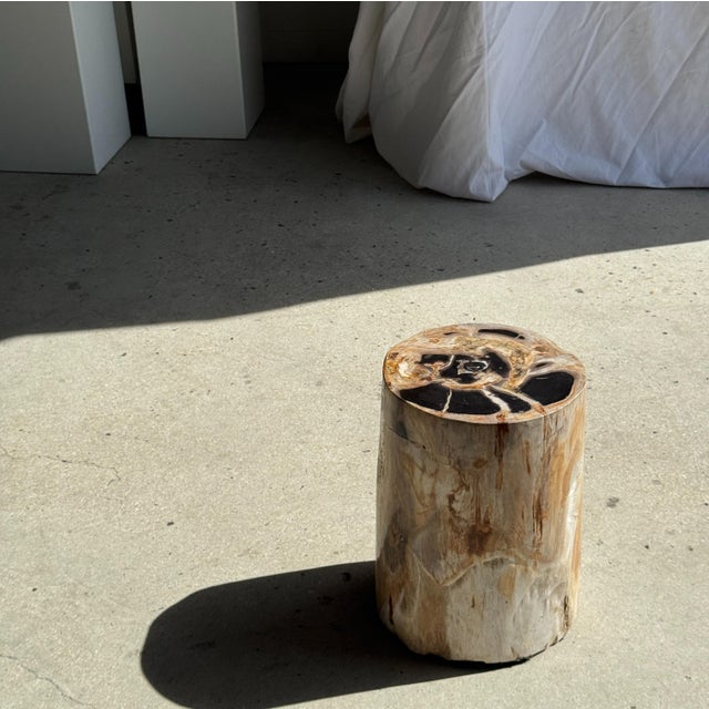 Petrified Wood Side Table For Sale - Image 5 of 18