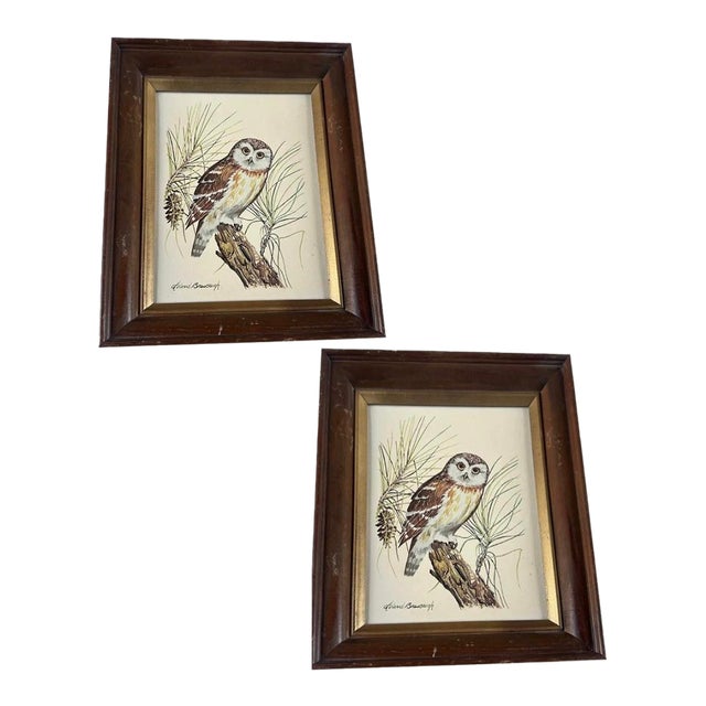 1970s Pair of Owl Paintings in Wooden Frames, Signed by Artist For Sale