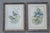 Pair of Antique John Gould & H.C. Richter Hand-Colored Bird Lithographs – Birds of Asia (1850–1883) This rare matched pair...