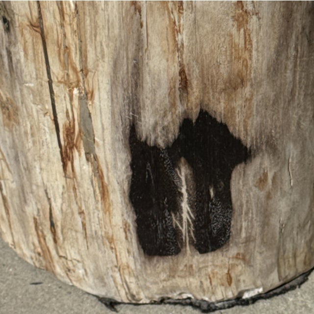 1980s Side Table in Petrified Wood with Black Spots, 1980s For Sale - Image 5 of 18