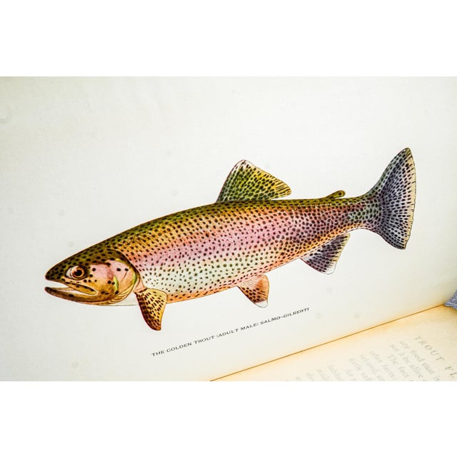 Rare Author Signed Trout Fly Fishing in America Antique Leather Spine Book 1914 For Sale In New York - Image 6 of 12