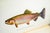 Rare Author Signed Trout Fly Fishing in America Antique Leather Spine Book 1914 For Sale In New York - Image 6 of 12