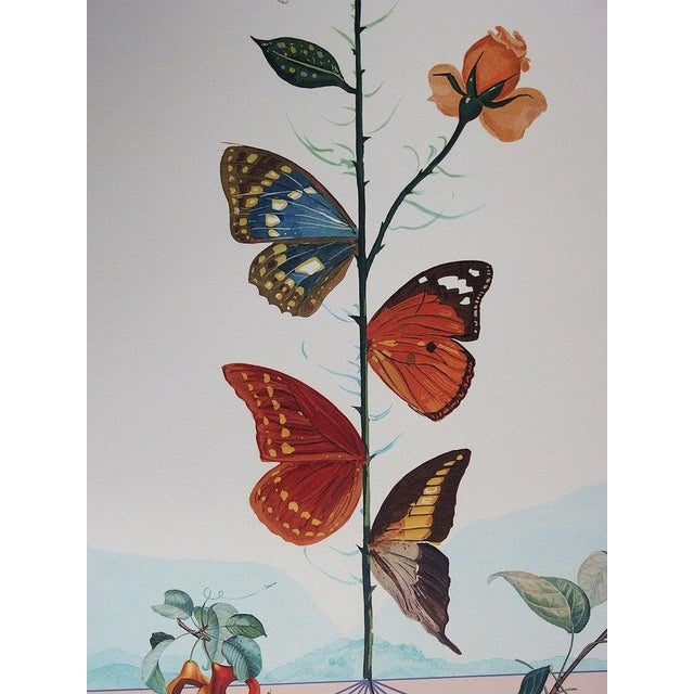 Salvador Dali, Flordali II: La rose papillon, Lithograph For Sale - Image 4 of 9
