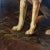 Textile Early 20th Century English Hound Painting For Sale - Image 7 of 9