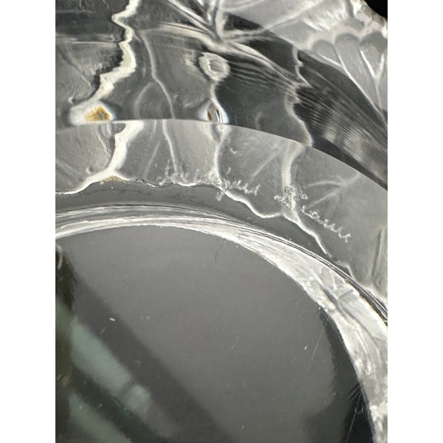 Glass 1960s Lalique Honfleur Geranium Dish 5-3/4" | Frosted Glass Rim | Signed Lalique France For Sale - Image 7 of 9