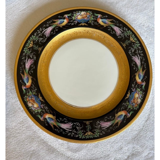 Set of 12 Pristine Hutschenreuther Black Knight Porcelain Dinner Plates – Gold Encrusted Pheasant & Fruit Motif, Mid-20th Century, Decorated in Usa For Sale - Image 10 of 10